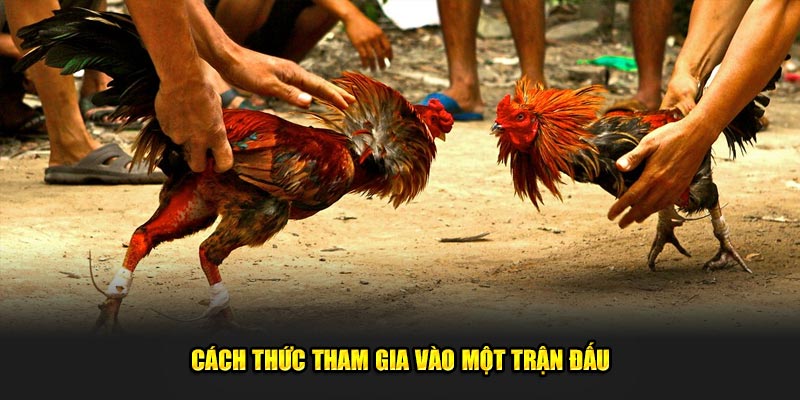 Cách thức tham gia vào một trận đấu