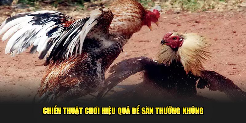 Chiến thuật chơi hiệu quả để săn thưởng khủng