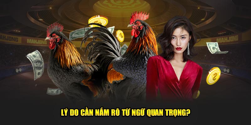 Lý do cần nắm rõ từ ngữ quan trọng?
