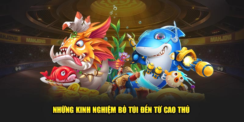 Những kinh nghiệm bỏ túi đến từ cao thủ