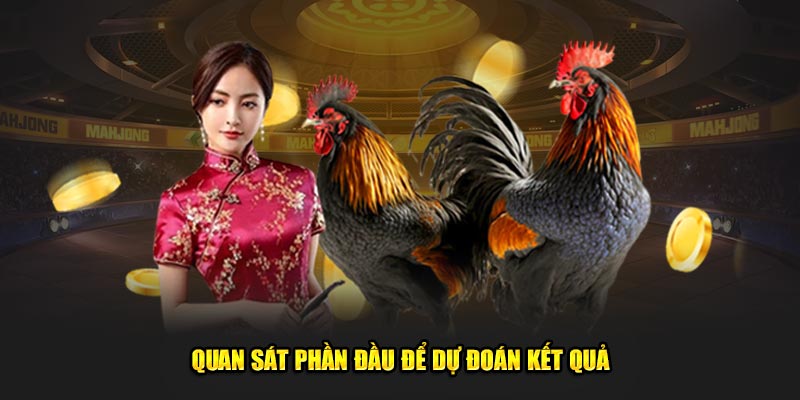 Quan sát phần đầu để dự đoán kết quả