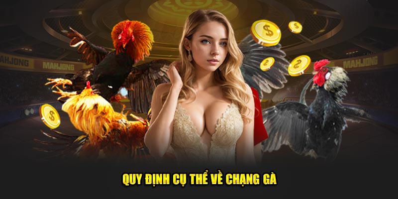 Quy định cụ thể về chạng gà
