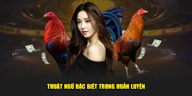 Thuật ngữ đặc biệt trong huấn luyện