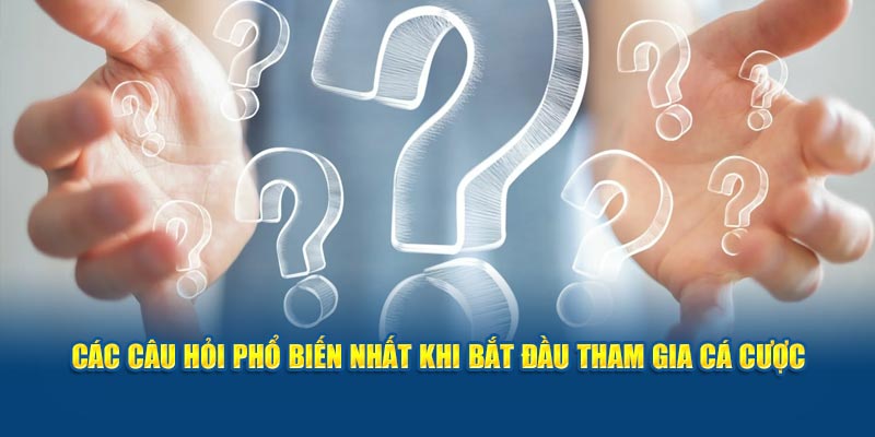 Các câu hỏi phổ biến nhất khi bắt đầu tham gia cá cược