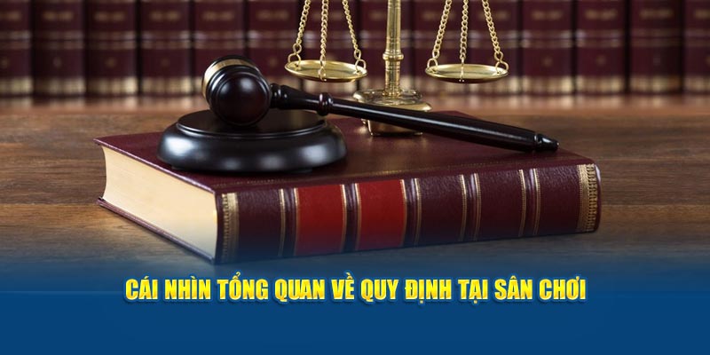 Cái nhìn tổng quan về quy định tại sân chơi