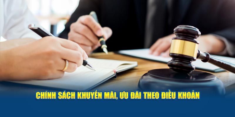 chinh-sach-khuyen-mai-uu-dai-theo-dieu-khoan (1)