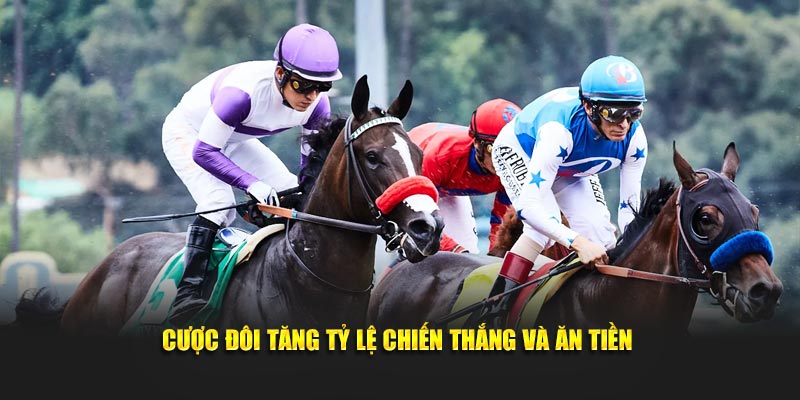 Cược đôi tăng tỷ lệ chiến thắng và ăn tiền