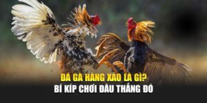 da-ga-hang-xao-la-gi-bi-kip-choi-dau-thang-do
