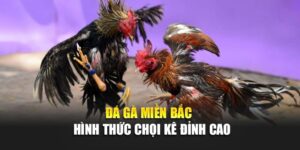 da-ga-mien-bac-hinh-thuc-choi-ke-dinh-cao