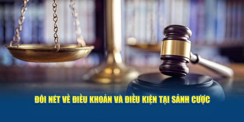 doi-net-ve-dieu-khoan-va-dieu-kien-tai-sanh-cuoc