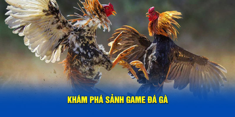 Khám phá sảnh game Đá Gà