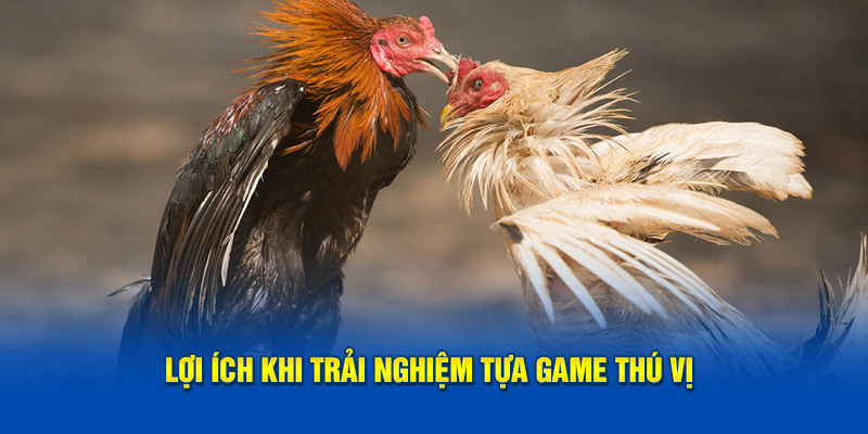 Lợi ích khi trải nghiệm tựa game thú vị