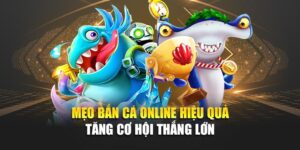 meo-ban-ca-online-hieu-qua-tang-co-hoi-thang-lon