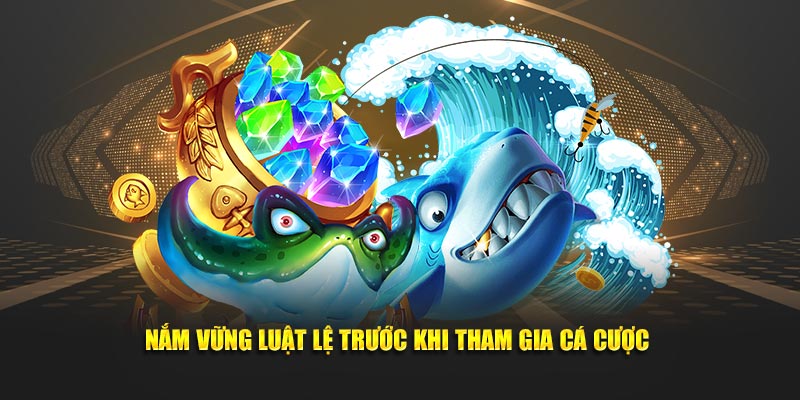 Nắm vững luật lệ trước khi tham gia cá cược