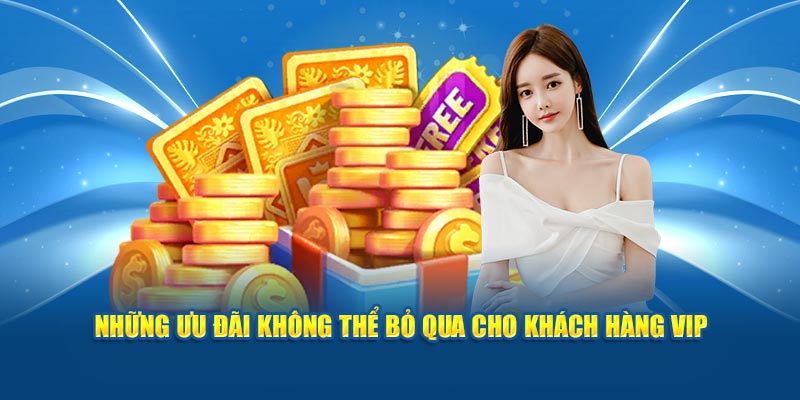 Những ưu đãi không thể bỏ qua cho khách hàng VIP