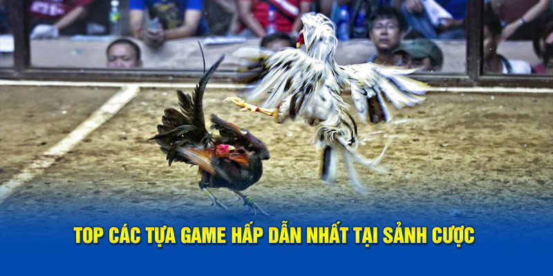 Top các tựa game hấp dẫn nhất tại sảnh cược