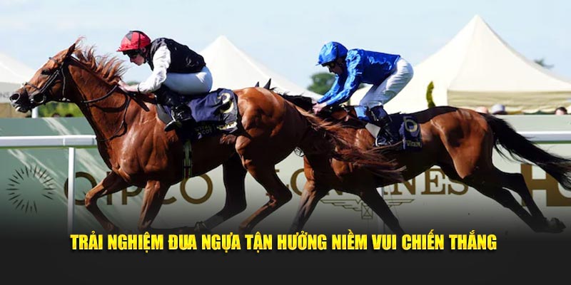 Trải nghiệm đua ngựa tận hưởng niềm vui chiến thắng
